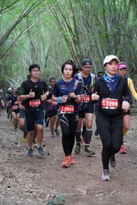 BIB: 124, 7269, 7353, 2643
                            <button type="button" onclick="openModal(4126755)" class="btn btn-primary btn-sm float-right btn-popup" data-toggle="modal" data-target=".modal-high-quality">
                        <i class="fas fa-shopping-cart"></i> Add to Cart
                    </button>
                                            <button type="button" onclick="isThisMe(4126755, true)" class="btn btn-success btn-sm float-right btn-popup btn-isme hidden" data-toggle="tooltip" data-placement="bottom" title="นี่คือรูปของคุณใช่ไหม คลิกที่นี่เพื่อเอาเข้าอัลบั้ม">
                        <i class="fas fa-plus"></i> Add to album
                    </button>
                    <button type="button" onclick="isThisMe(4126755, false)" class="btn btn-warning btn-sm float-right btn-popup btn-isnotme hidden">
                        <i class="fas fa-ban"></i> Remove from album
                    </button>